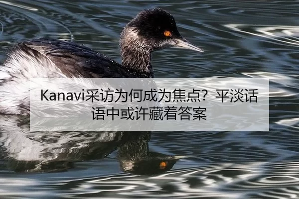 Kanavi采访为何成为焦点？平淡话语中或许藏着答案
